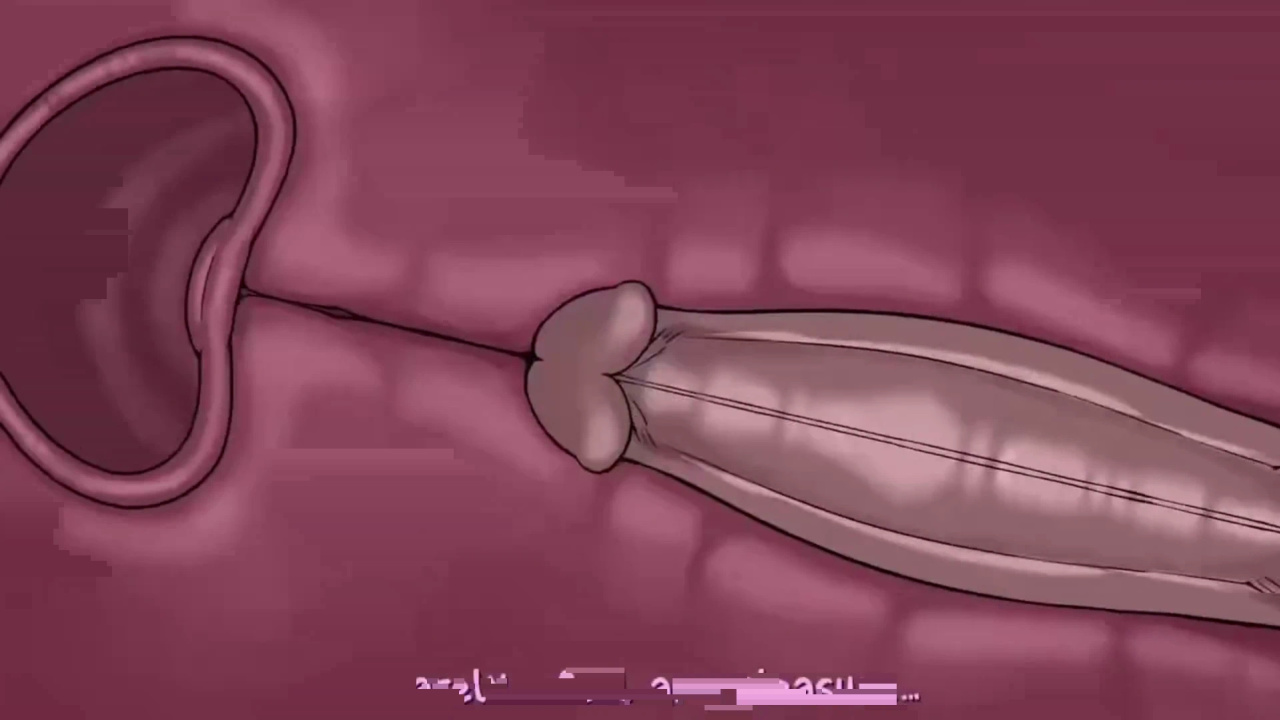 [TheNewPassion] A Night Alone (Deltarune) (Animated - WIPS) (Ongoing)