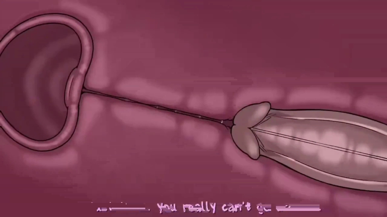 [TheNewPassion] A Night Alone (Deltarune) (Animated - WIPS) (Ongoing)