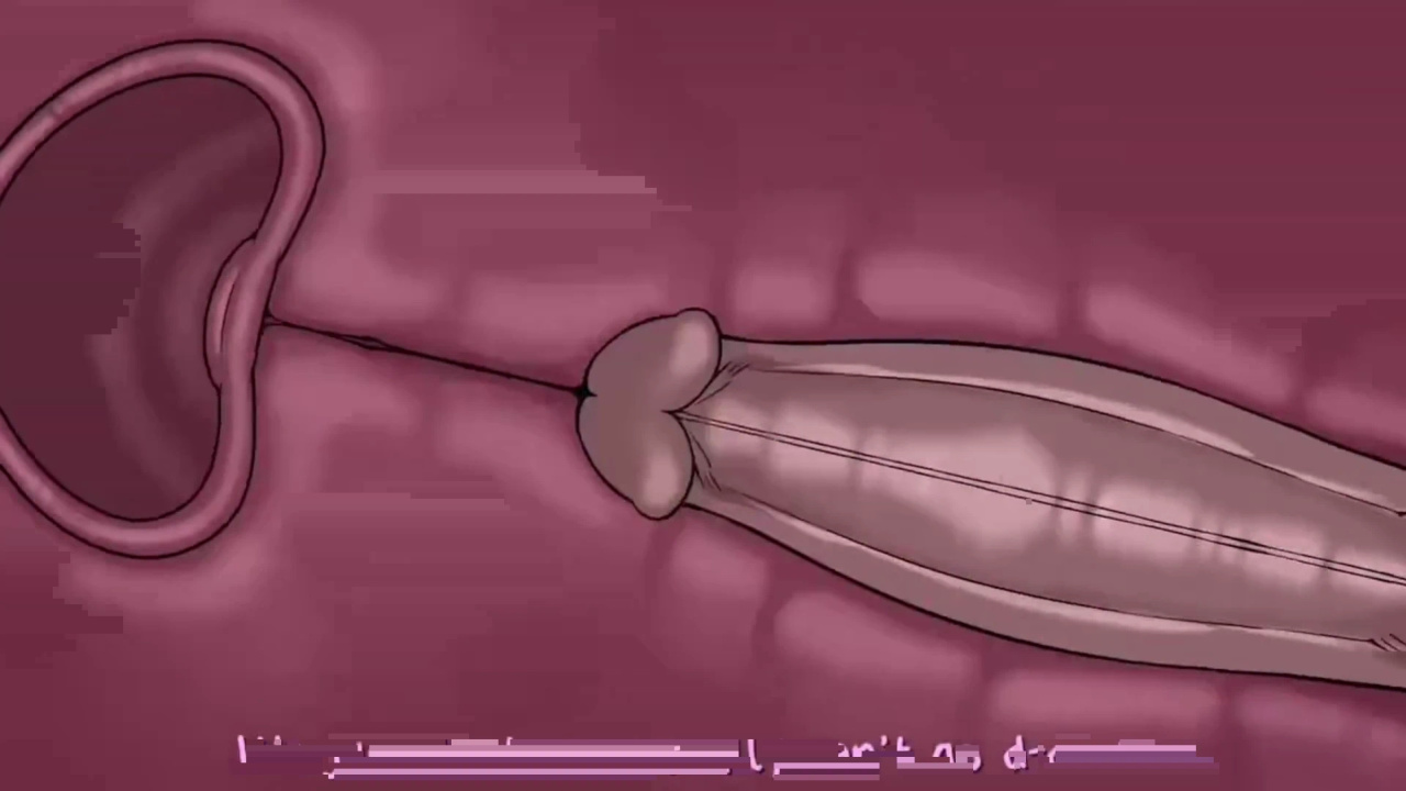 [TheNewPassion] A Night Alone (Deltarune) (Animated - WIPS) (Ongoing)