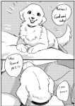 [Kon Juuichibai (Momou)]Goshujin-sama! Konya wa no "Gohoubi" Madadesuga! [digital][uncensored]