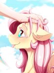 [Alcor] Fluttershy's Blowjob (My Little Pony Friendship Is Magic)
