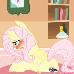 shy fluttershy