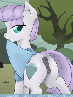 [Stradivarius] Maud Pie (My Little Pony: Friendship is Magic)