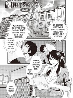 [Shinozaki Rei] St Harukawa Academy's Strange Tales (Mesubuta JK Nikubenki!!!) [desudesu]