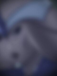 Roundscape Adorevia Full game Preview