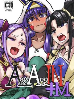 (C95) [K2 Manhole (P)] AssAssIN+M (Fate/Grand Order) [MegaFagget] Preview