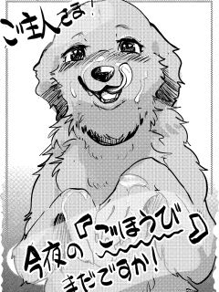 [Kon Juuichibai (Momou)]Goshujin-sama! Konya wa no "Gohoubi" Madadesuga! [digital][uncensored] Preview