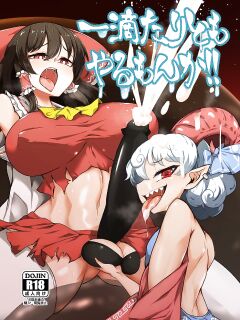 [Hadairo Rooibos Tea (Pandain)] Ittekitaritomo Yaru Mon Ka!! (Touhou Project) (RookieDreams)