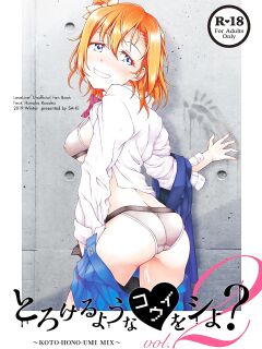 [Sa-Ki (Sa-Ki)] Torokeru you na Koui o Shi yo? vol. 2 ~KOTO-HONO-UMI MIX~ (Love Live!) [DK_Lover_69]