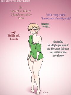 Toby Art - Link Visits the Great Fairies