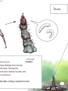 Mushi Research Report No. 5 (Eng.) Preview