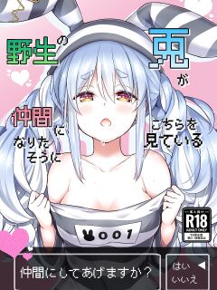 [Hachinoko P (hatigo)] Yasei no Usagi ga Nakama ni Naritasou ni Kochira o Miteiru | Wild Rabbit Is Looking At You As If It Wants To Be Friends (Usada Pekora) [Lidl Translations]