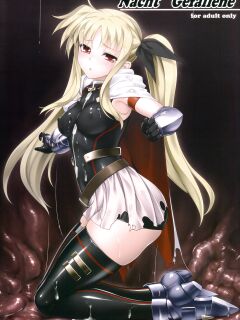 (C85) [Kuroi Miyako (Rindou, Kuroi Hiroki)] Nacht Gefallene (Mahou Shoujo Lyrical Nanoha) {Hennojin} Preview