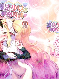 (C97) [Manmanya (Titiduki)] Gohou Shoujo no Himitsu Tokkun (Fate/Grand Order)