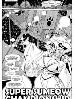 [Jolly Jack] Super Sumeow Championship