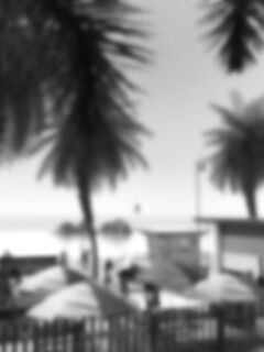 Live report - Crispy Cheese