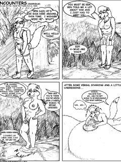 [David Von Foxkin] Encounters Preview