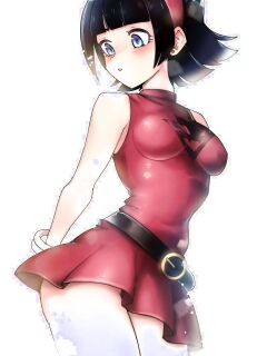 [Puffphox] High Risk Cruise (Dragon Ball Super)