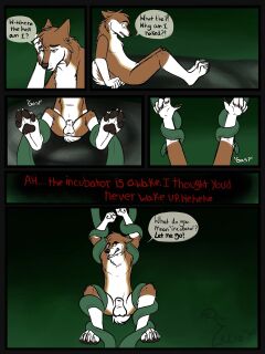 [BinturongBoy] The Incubator Preview