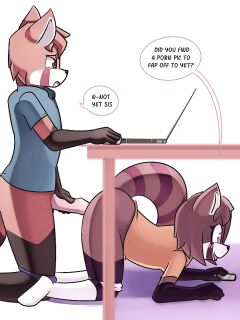 [Negativefox] Red Panda Siblings