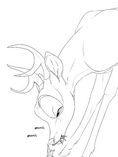 [Backlash91] A WILD PENIS APPEARED!